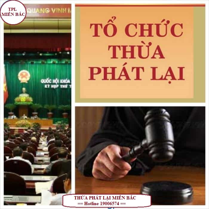 Phân biệt văn phòng thừa phát lại và văn phòng công chứng