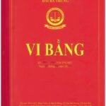 Lập vi bằng ghi nhận hiện trạng tài sản trên đất tại Thành phố Rạch Giá